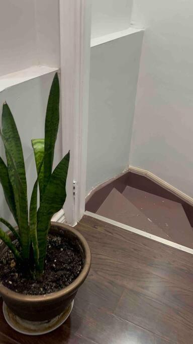 Bernie'S Basement Apartment Milton Exterior photo