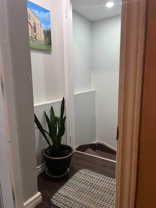 Bernie'S Basement Apartment Milton Exterior photo